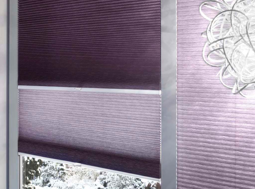 Wabenplissees - 3 Team Liechti - Subingen