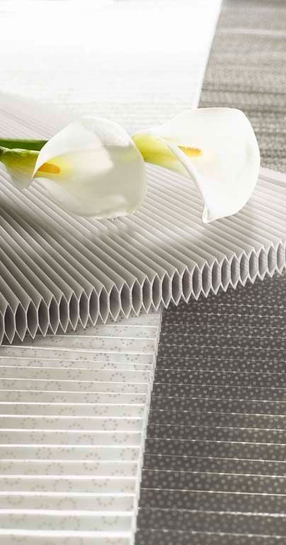 Wabenplissees - 3 Team Liechti - Subingen