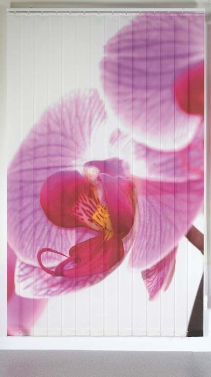 Individualdruck - 3 Team Liechti - Subingen