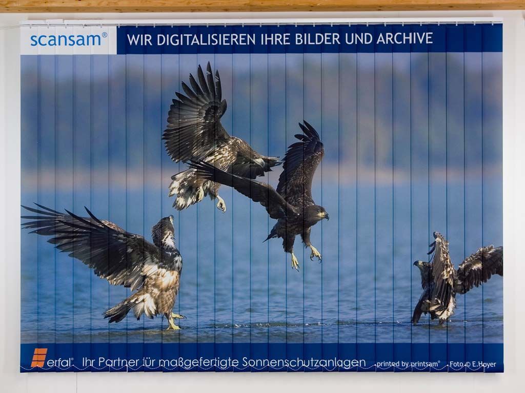 Individualdruck - 3 Team Liechti - Subingen