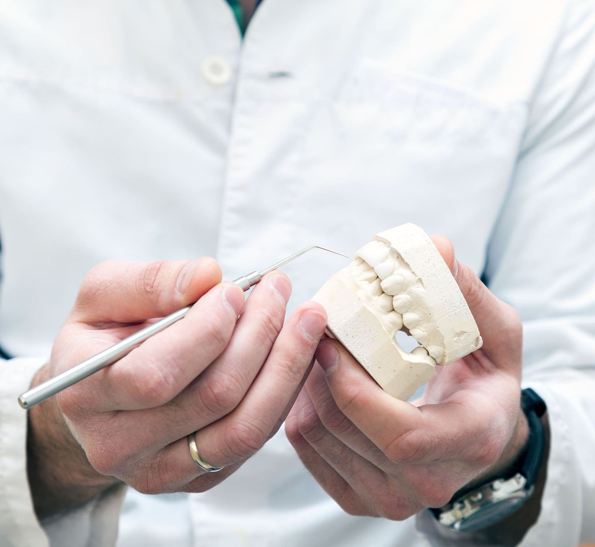 Un dentista sostiene un modelo de dientes en sus manos.