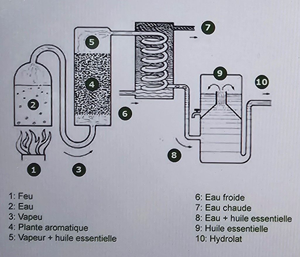 Explication l'alambic