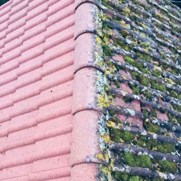 Décapage de toiture