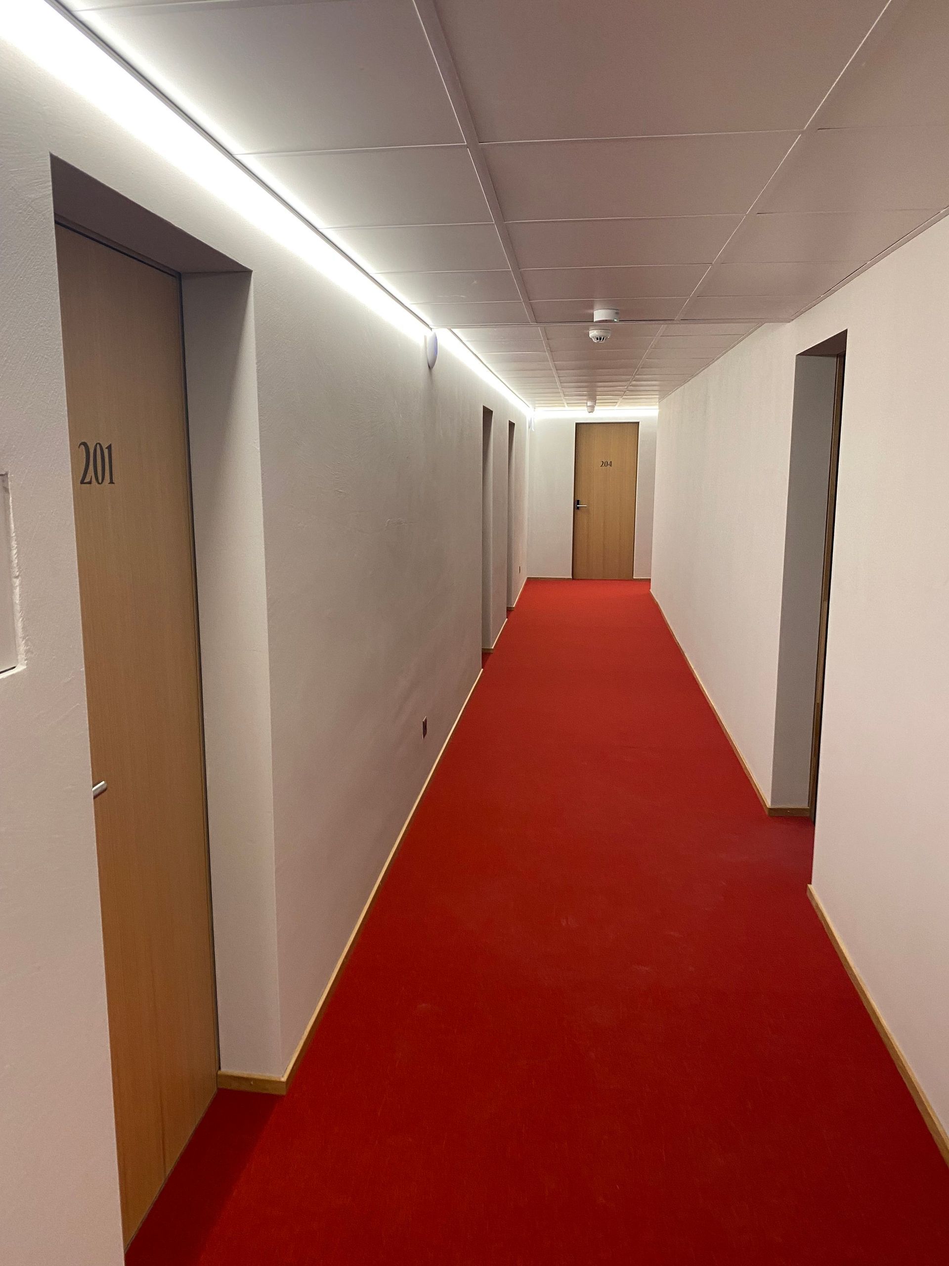 Ein langer Flur mit rotem Teppich, weißen Wänden und beigen Türen. Darüber erhellt ein Lichtstreifen die Decke.