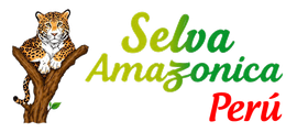 logo cliente