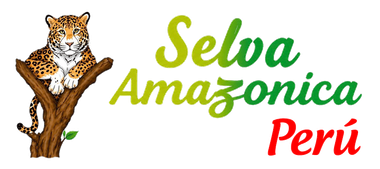 Selva Amaz&oacute;nica Per&uacute;