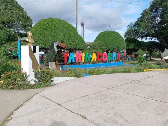 imagen yarinacocha