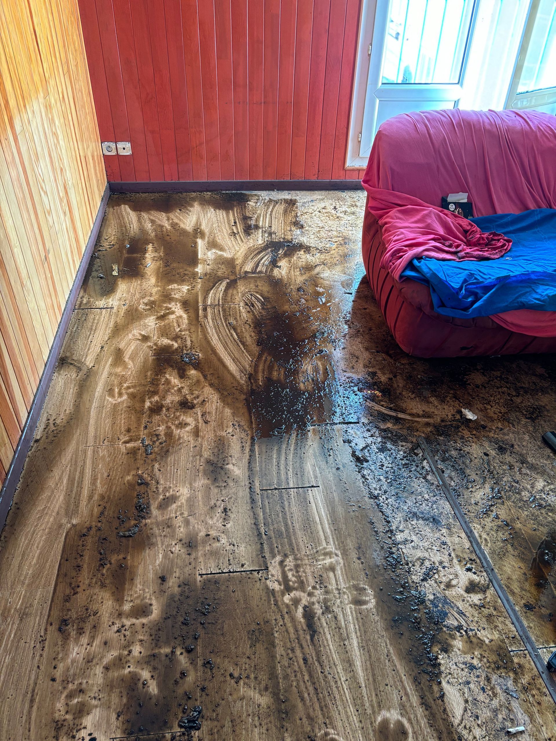 Sol en bois inondé d'eau brunâtre, près d'un canapé et d'un mur rouges.
