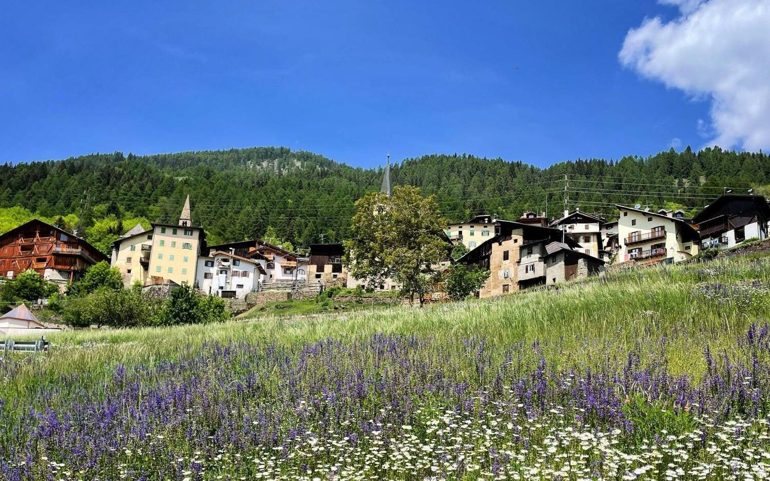 Il borgo di Termenago nel comune di Pellizzano (TN)