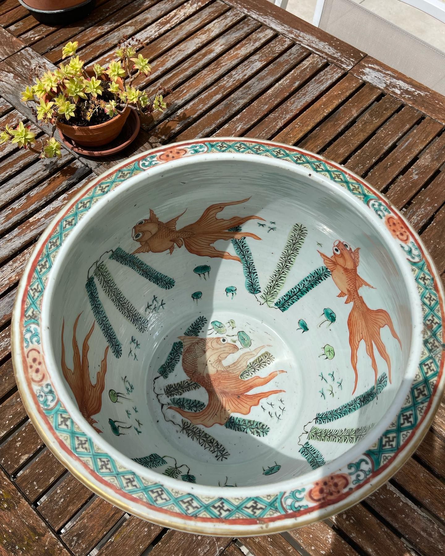 Grand bol en céramique à motif de poissons rouges et bordure verte, posé à l'extérieur sur une surface en bois.