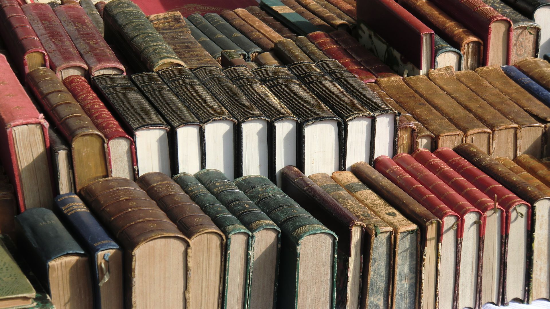 Des rangées de vieux livres de couleurs variées et aux couvertures usées.