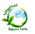 Logo entreprise Artisans Végétal Espaces Verts