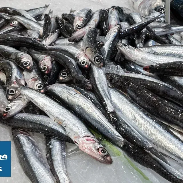 Un montón de pescado en hielo con un cartel azul en el fondo que dice 'mariscos'