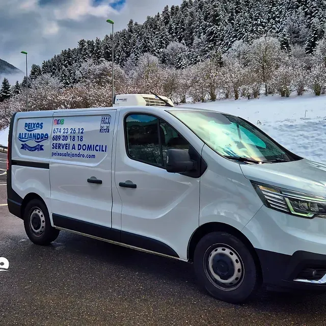 Una furgoneta blanca está aparcada frente a un bosque nevado.