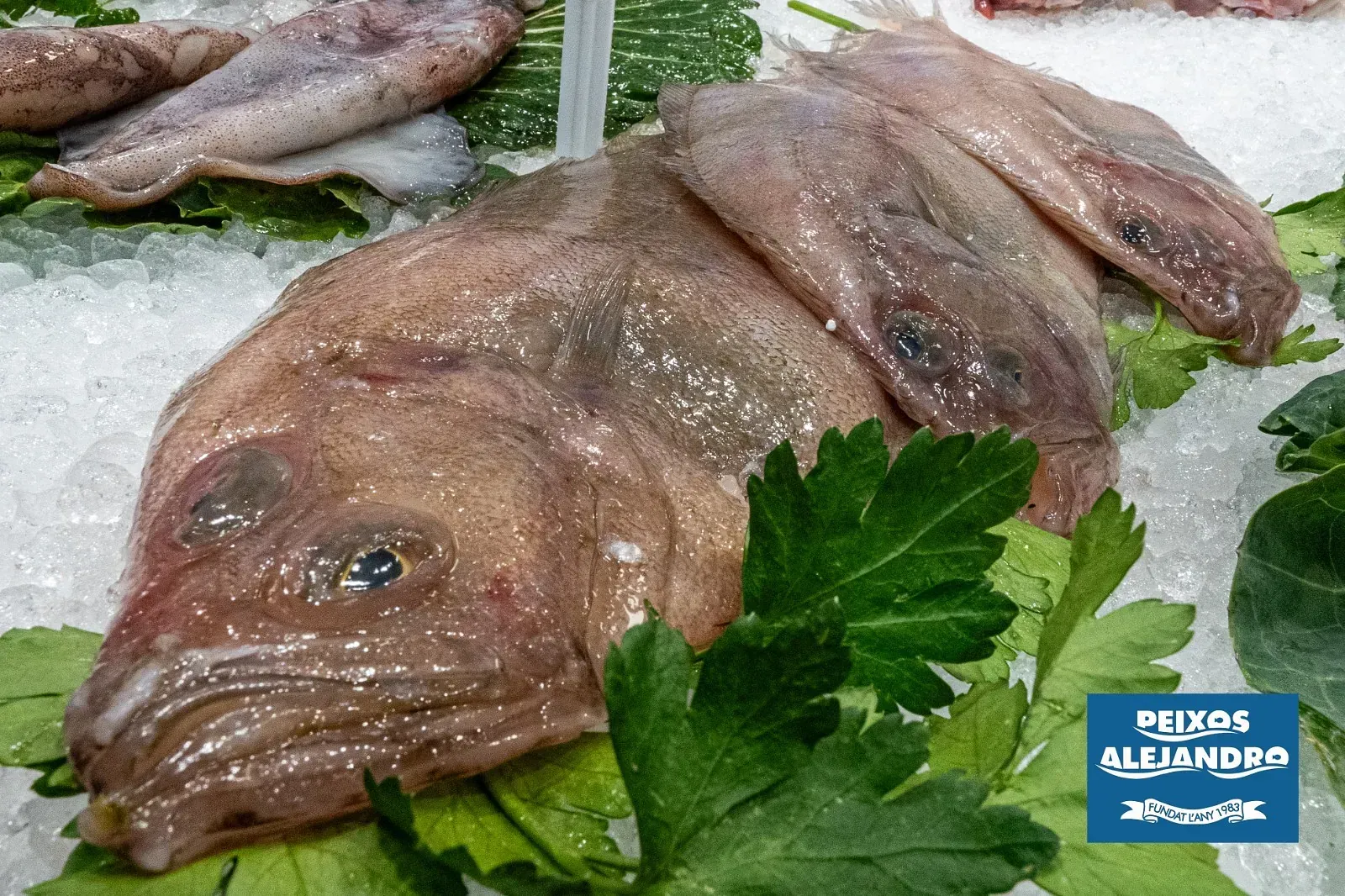 Un pescado en hielo con un cartel azul que dice "peixe alexandro"
