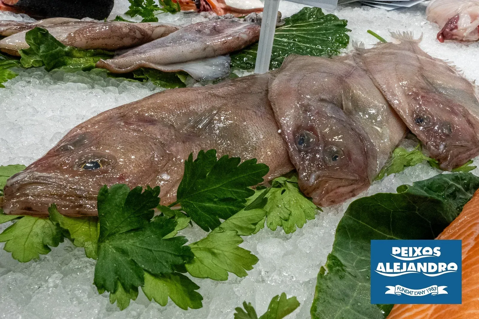 Un pescado en hielo con un cartel que dice "peixos alejandro"