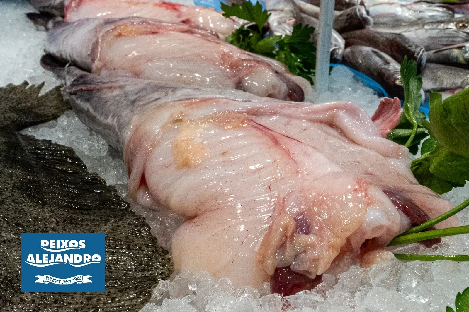 Un montón de peces están sentados encima del hielo.