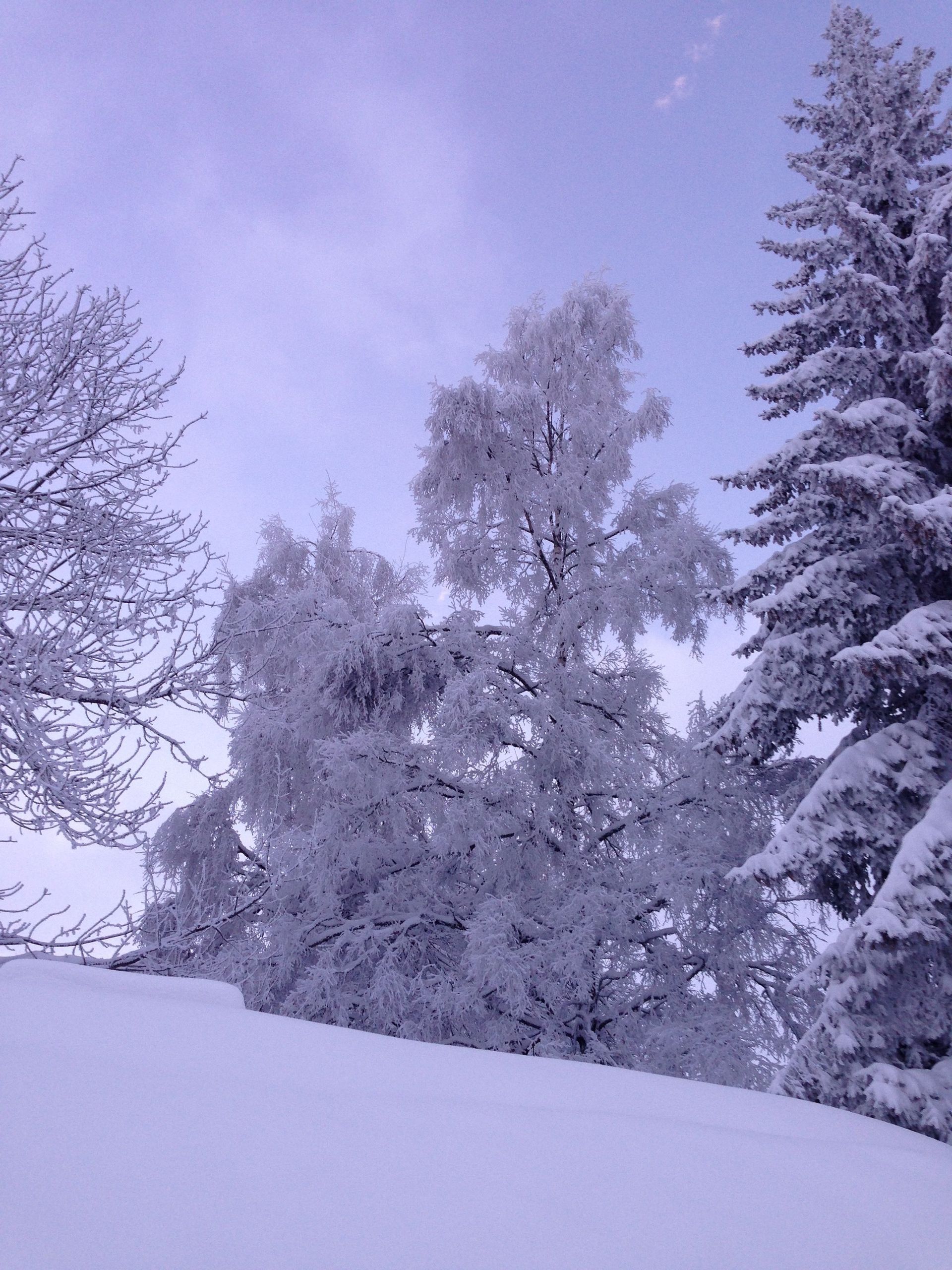 paysage de montagne enneigé