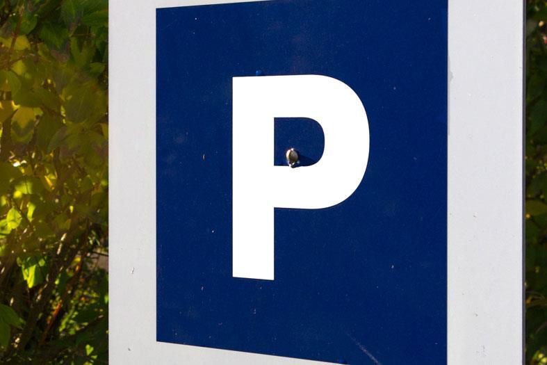 Ein blau-weißes Parkschild mit dem Buchstaben p darauf