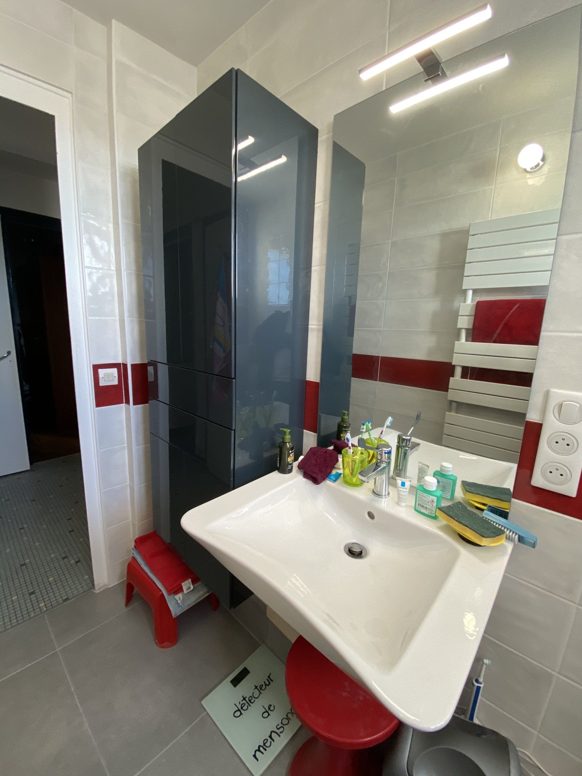 Salle de douche PMR ( personne à mobilité réduite )