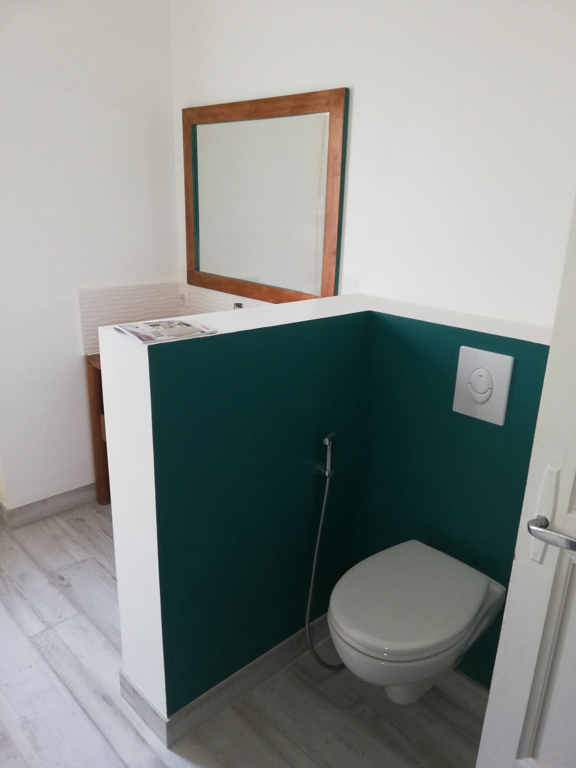 Salle de douche avec cuvette WC carenée