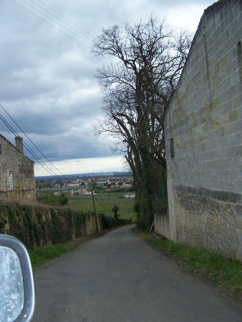 OTH - Samonac - Élagage abattage - Gironde