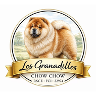 Chow Chow Los Granadillos