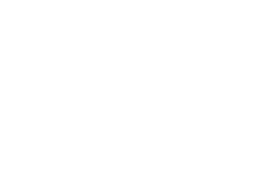 Topo Serv
