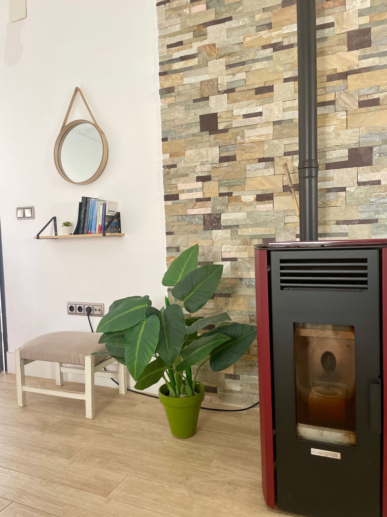 Una sala de estar con una estufa y una planta en maceta.