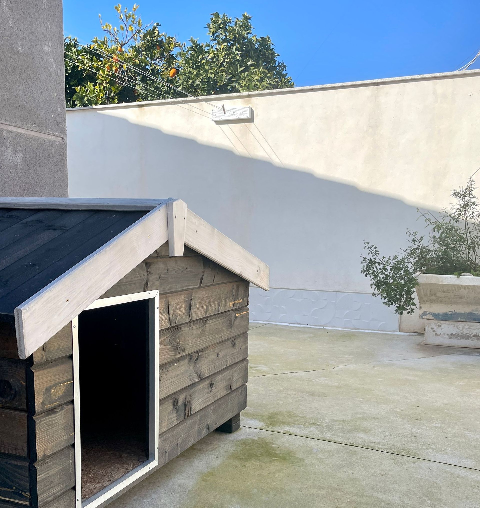 Una pequeña caseta de madera para perros se encuentra frente a una pared blanca.