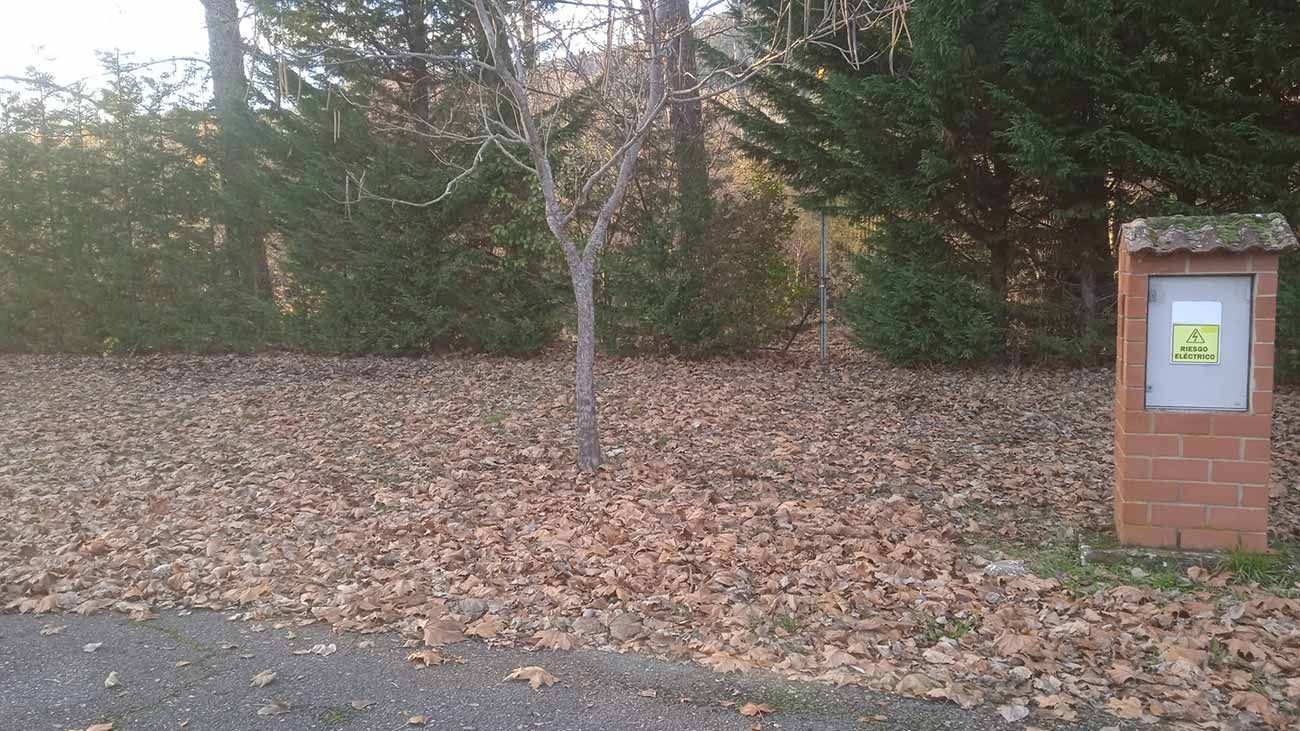 Zona de autocaravanas 