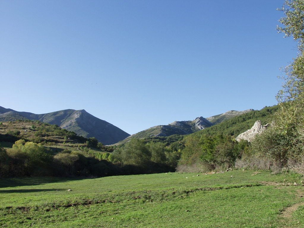 Un exuberante campo verde con montañas al fondo.