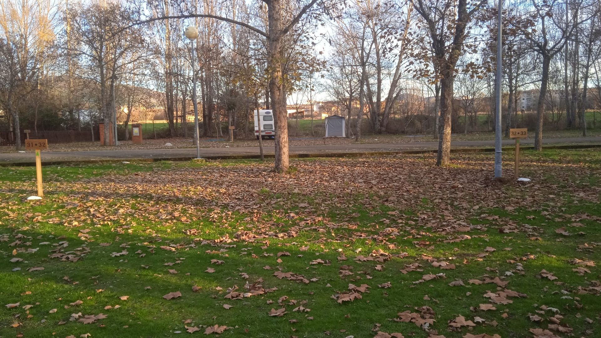 Parque con árboles, hojas caídas sobre el césped y señales. Edificios visibles a lo lejos bajo un cielo azul.