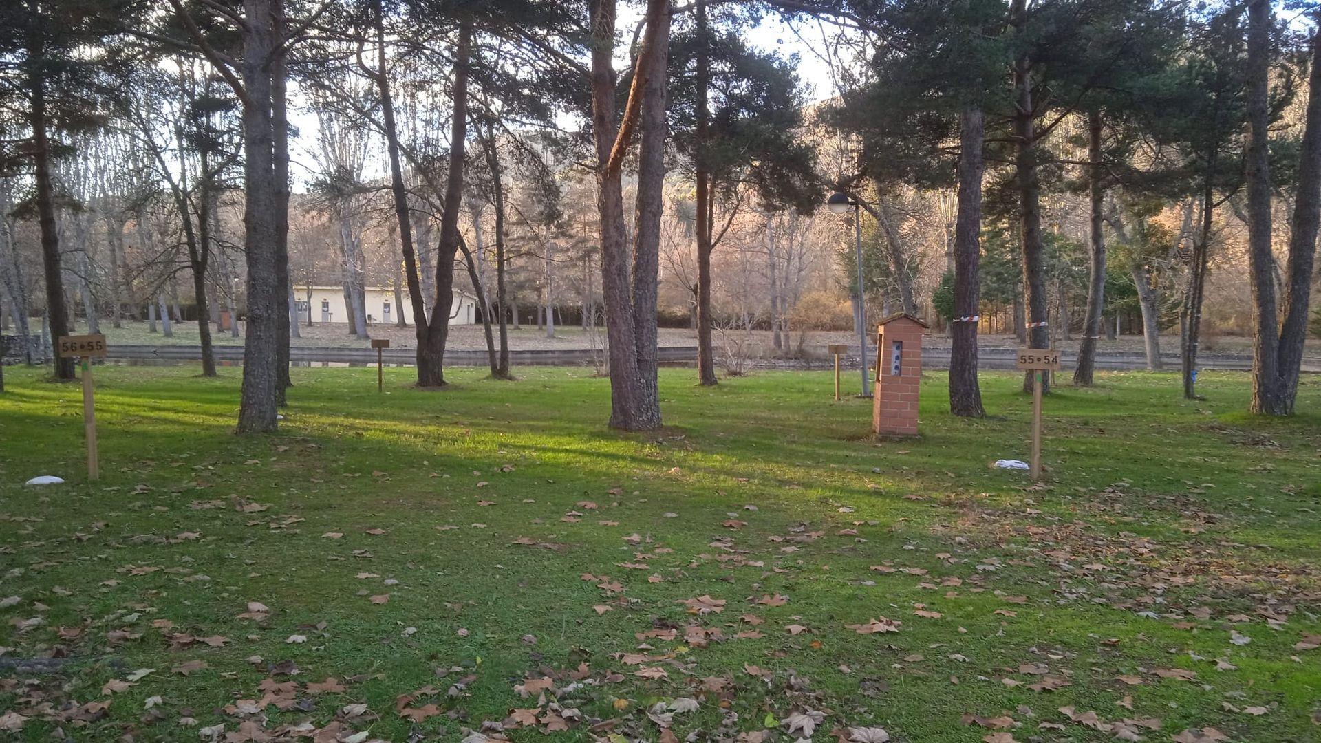 Parque con árboles y césped verde, algunos con postes de madera y alguna pequeña estructura, con una hilera de edificios distantes.