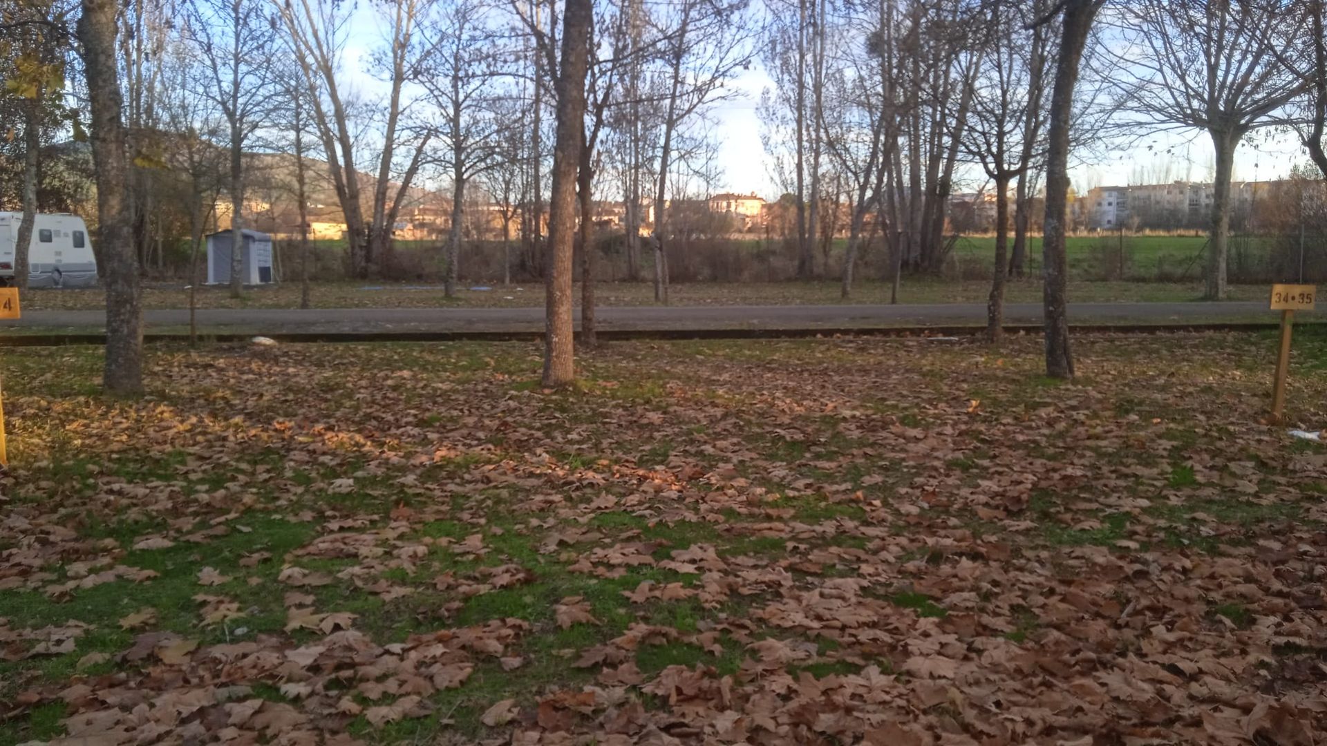 Escena otoñal: árboles desnudos, hojas caídas, suelo cubierto de hierba, algunos edificios pequeños y vehículos recreativos al fondo.