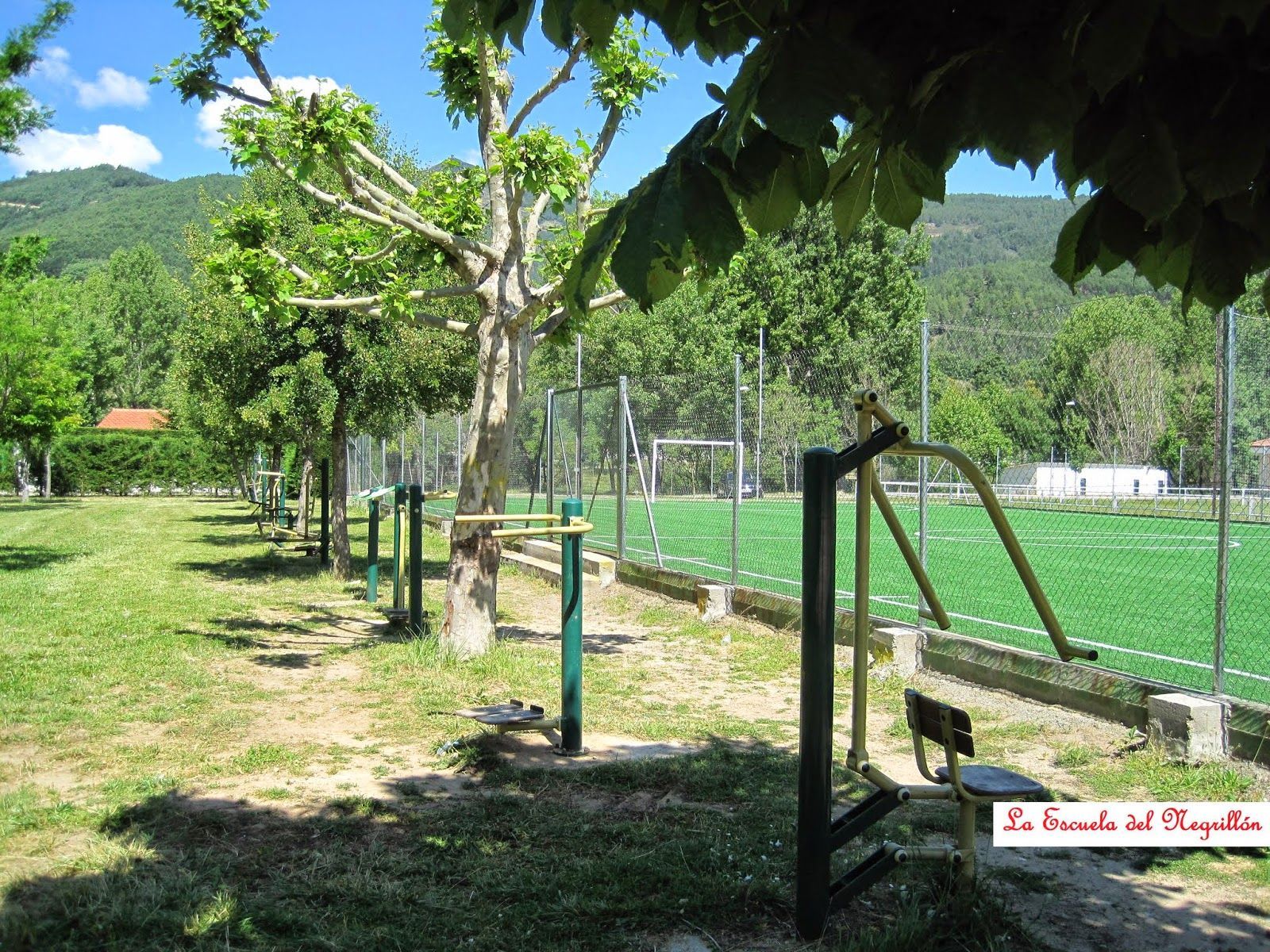 Un exuberante campo verde con montañas al fondo.