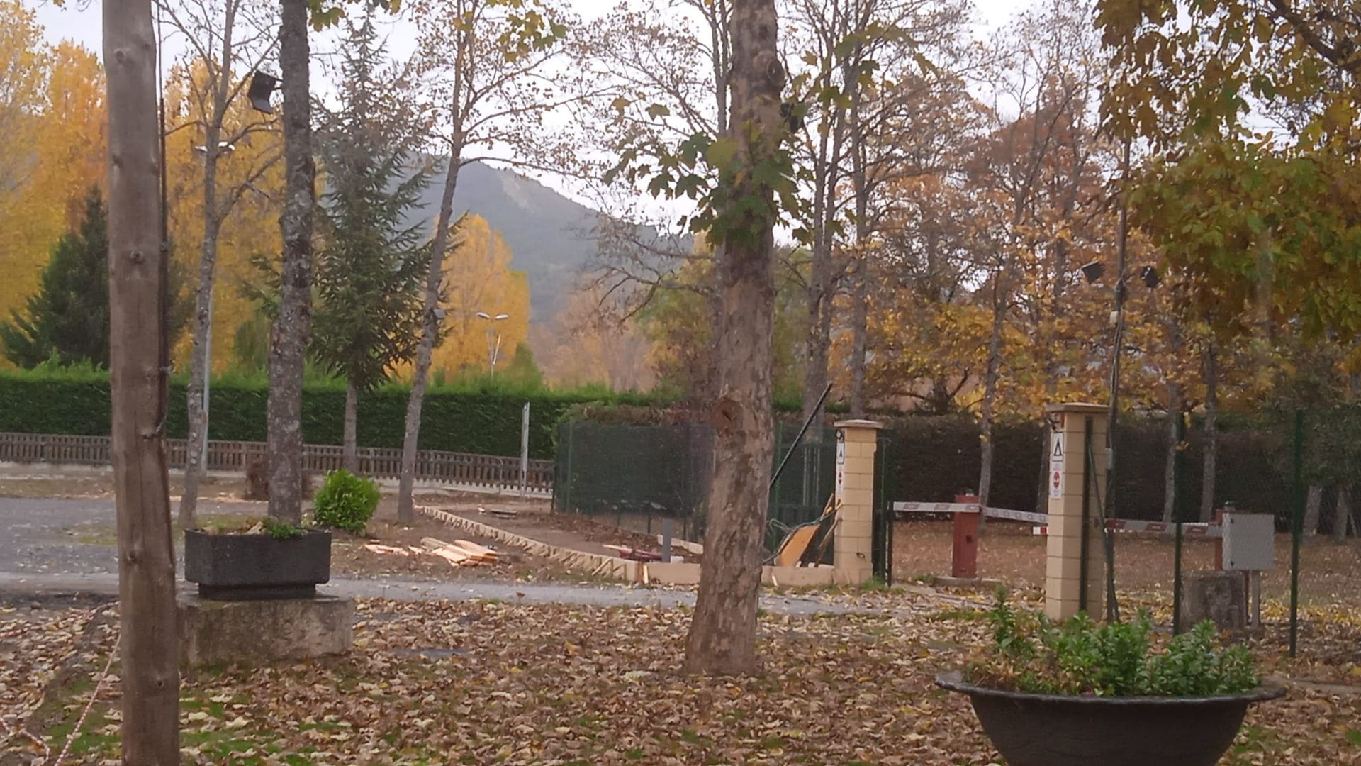 Escena de parque con árboles y follaje otoñal; una montaña al fondo.