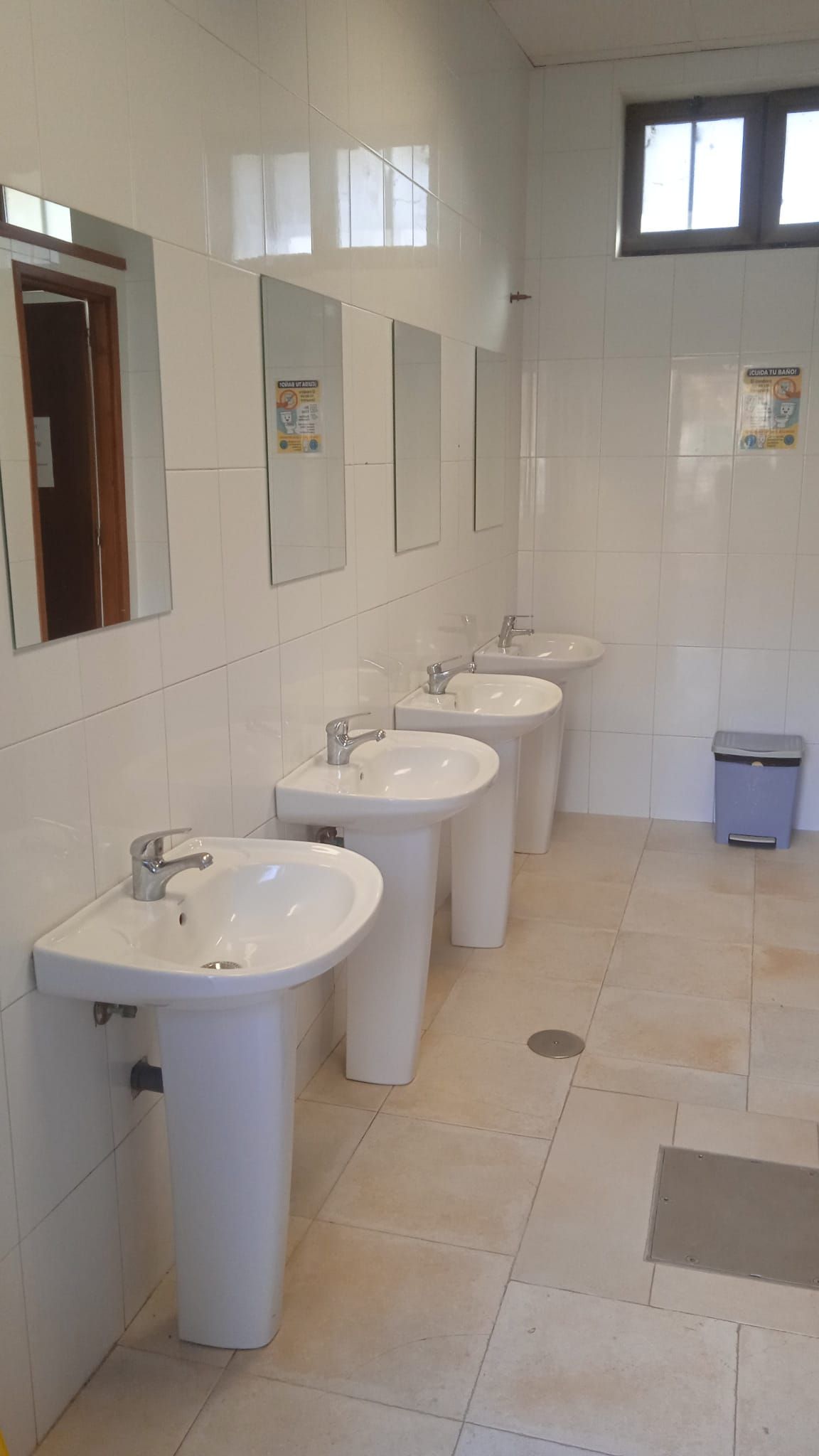 Fila de lavabos de pedestal blanco con espejos en un baño público.