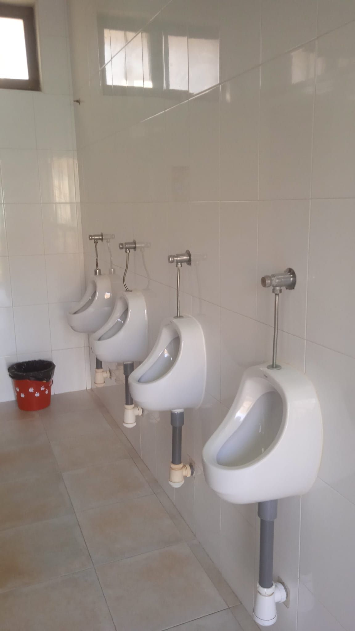 Fila de urinarios blancos en un baño público de azulejos. Hay un cubo de basura a la izquierda.