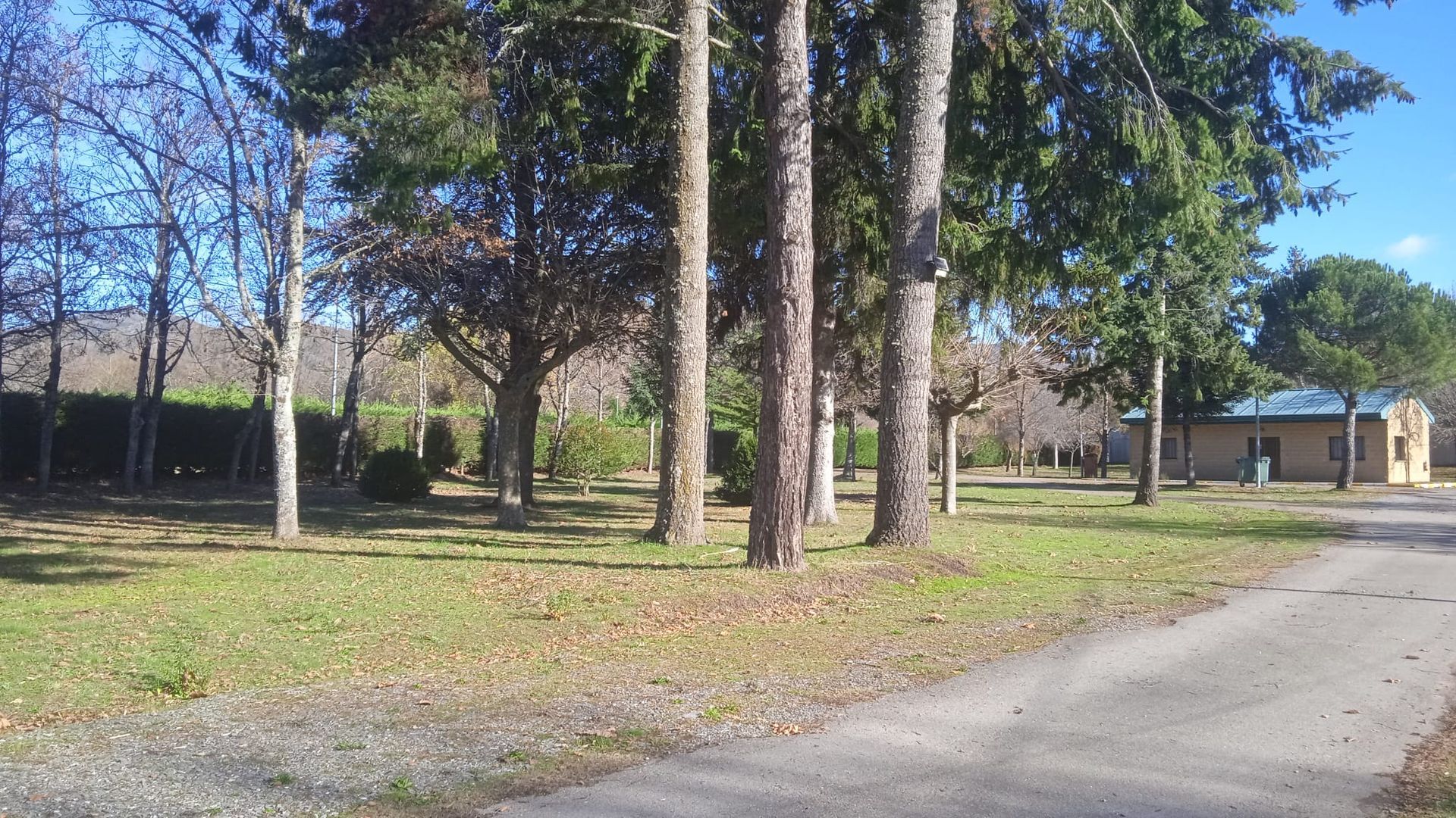 Árboles y césped con un sendero pavimentado. Se ve un edificio a lo lejos.
