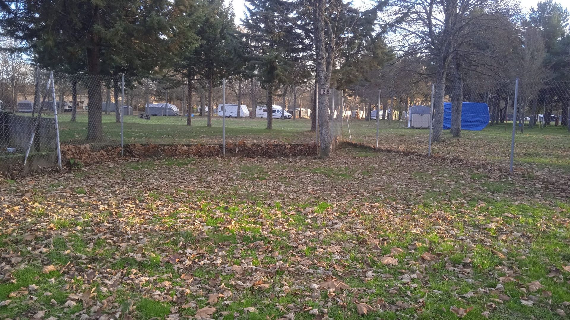 Una zona verde cercada con hojas caídas, árboles y vistas de campistas y una lona azul en la distancia.