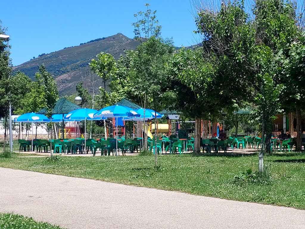 Un exuberante campo verde con montañas al fondo.