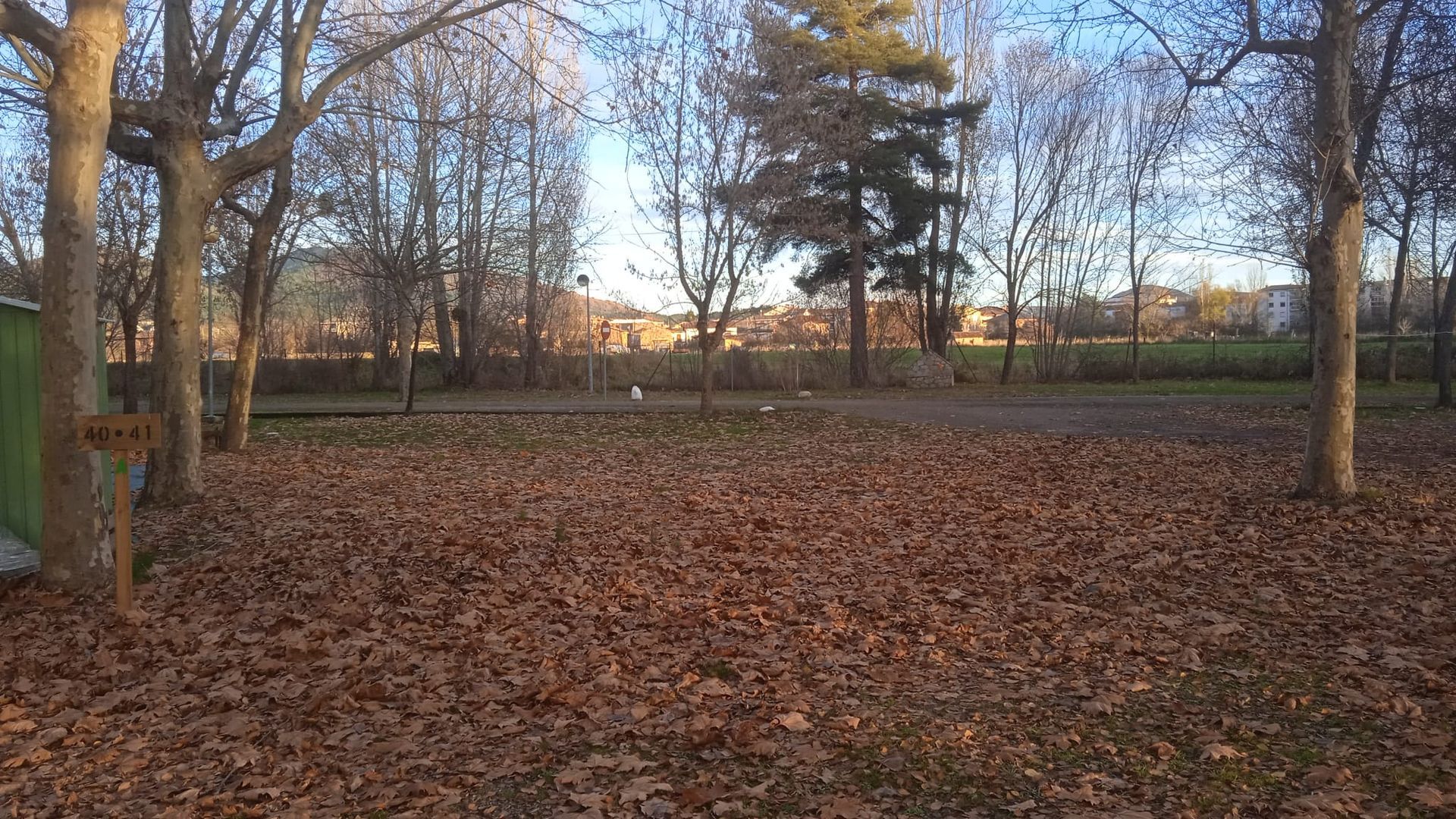 Un parque con hojas caídas cubriendo el suelo, árboles y edificios al fondo.