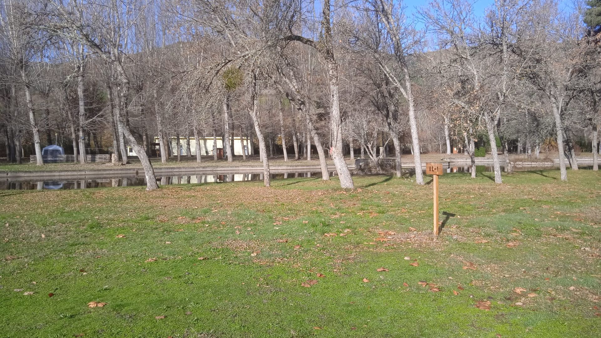 Los árboles bordean un canal y una zona de césped. El entorno es al aire libre, con un edificio visible a lo lejos.
