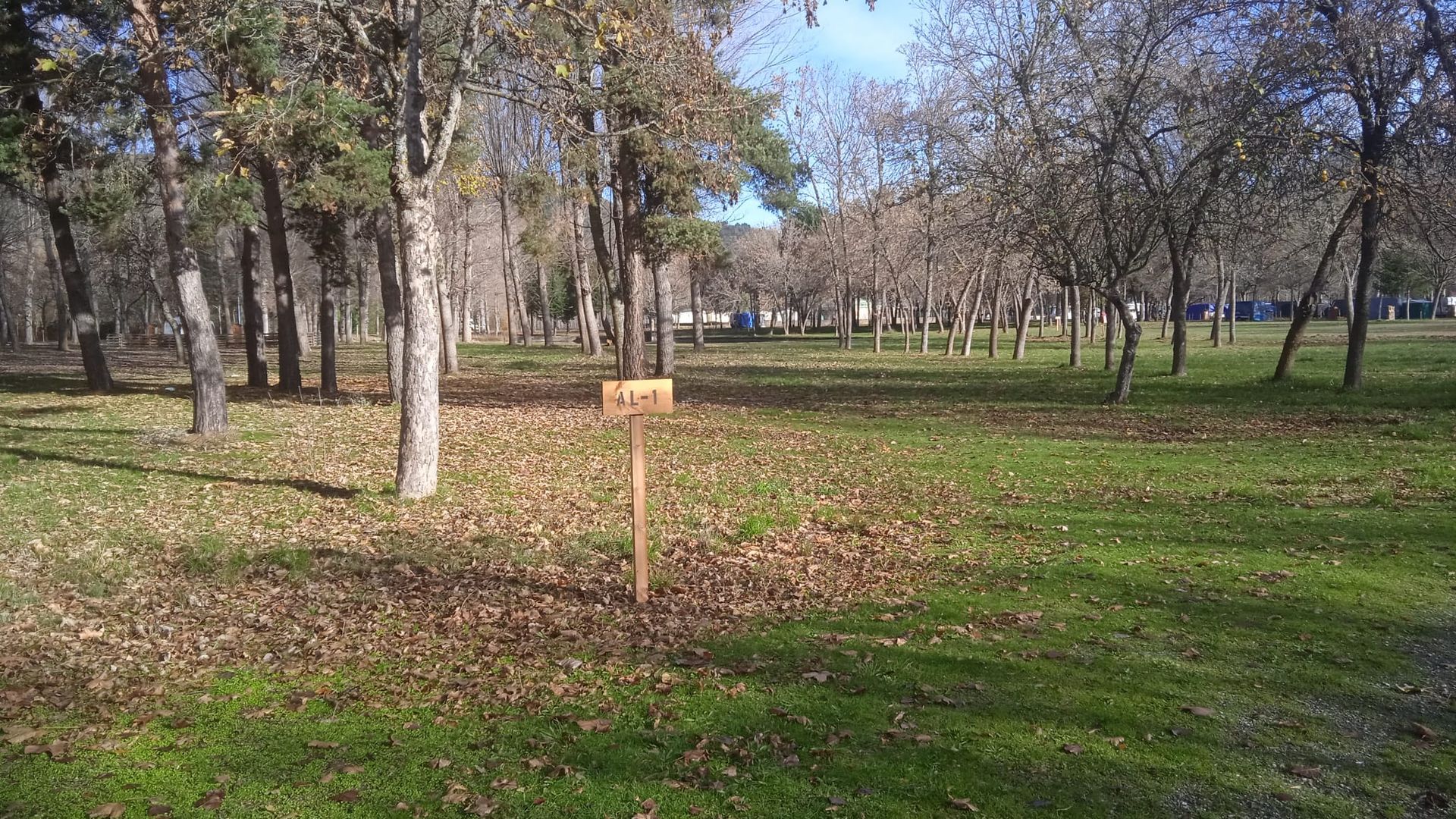 Parque cubierto de hierba con hojas caídas dispersas, árboles y un cartel de madera.