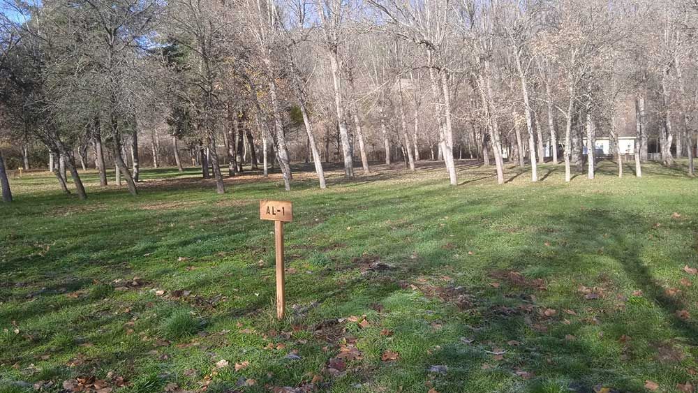 Campo de hierba con un cartel de madera, rodeado de árboles desnudos bajo un cielo brillante.