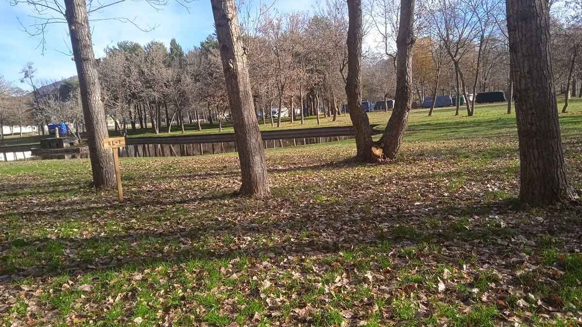 Los árboles enmarcan un parque cubierto de césped con un estanque al fondo; las hojas caídas cubren el suelo.