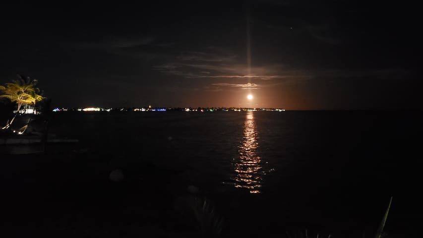 Moonlit water reflecting the full moon. City lights on the distant horizon.