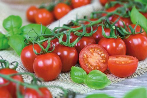 Rispentomaten, Foto von Blumen Böswirth