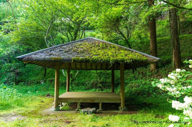 Ein mit Moos bedeckter Holzpavillon inmitten eines Waldes.
